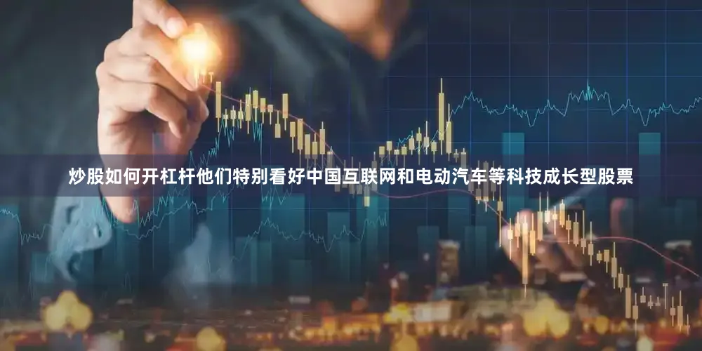 炒股如何开杠杆他们特别看好中国互联网和电动汽车等科技成长型股票