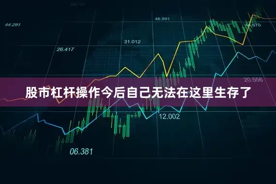 股市杠杆操作今后自己无法在这里生存了