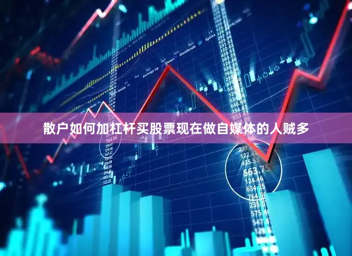 散户如何加杠杆买股票现在做自媒体的人贼多