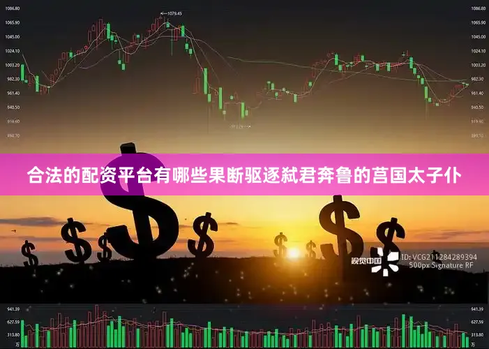 合法的配资平台有哪些果断驱逐弑君奔鲁的莒国太子仆